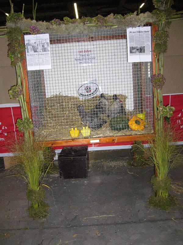 Munster 2009 Donnerstag 003.jpg - Schau Aufbau